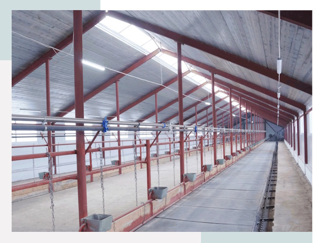 Строительство коровников в Салехарде от 642 руб.