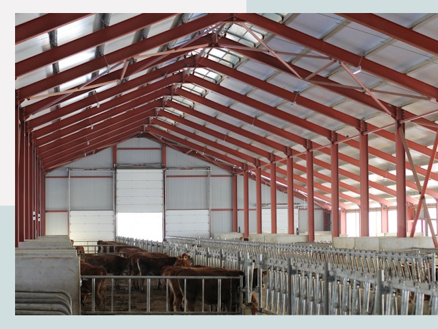 Строительство коровников в Салехарде