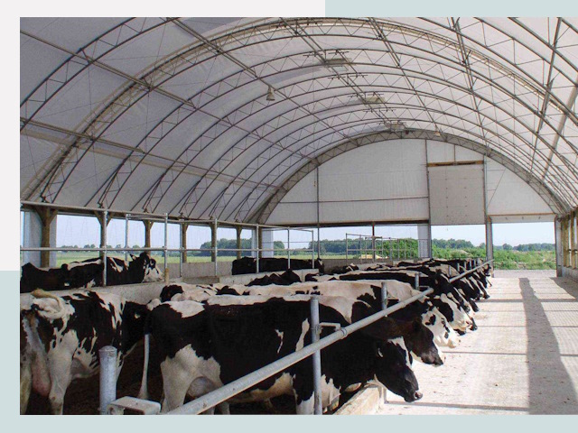 Тентовые коровники в Салехарде